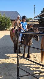 Verzorgster/ bijrijdster aangeboden voor paard/pony, Ophalen of Verzenden, Nieuw