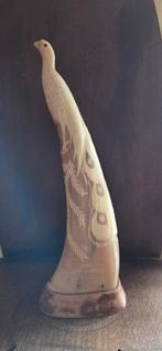 Pauw uit hoorn, Ophalen of Verzenden