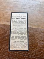 Bidprentje Jeltje Harms Minne Agricola, Ophalen of Verzenden, Bidprentje