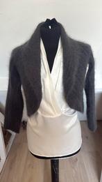 Luxe angora vest 38 nieuw antraciet, Kleding | Dames, Ophalen of Verzenden, Zo goed als nieuw, Maat 38/40 (M), Grijs