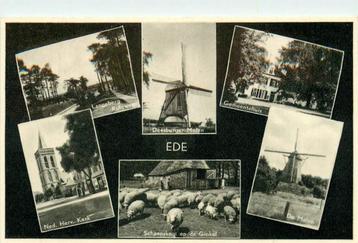 (387-165-039) Ede beschikbaar voor biedingen
