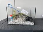 Klein aquarium, Ophalen, Gebruikt, Leeg aquarium