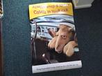 Camel sigaretten posters, Verzamelen, Ophalen of Verzenden, Nieuw, Overige typen