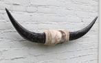 Texas style BULLBAR- 93 cm - afgewerkt met koeienvel en touw, Ophalen of Verzenden, Nieuw, Boerderijdier, Gewei of Kop