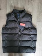Cavallaro Napoli Bodywarmer nieuw met kaartjes KERST TIP, Kleding | Heren, Bodywarmers, Zwart, Nieuw, Overige maten, Ophalen of Verzenden