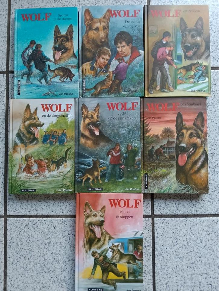 Wolf boeken serie Jan Postma, Boeken, Kinderboeken | Jeugd | onder 10 jaar, Gelezen, Fictie algemeen, Ophalen of Verzenden