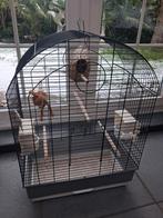 Vogelkooi.  Gebruikt. Kompleet., Dieren en Toebehoren, Ophalen, Metaal, Vogelkooi