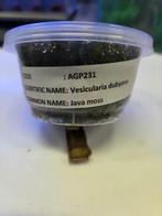 mos, Overige typen, Zoetwatervis