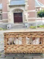 Witteduiven witte duiven uitvaart begrafenis crematie, Dieren en Toebehoren, Vogels | Duiven, Meerdere dieren, Postduif