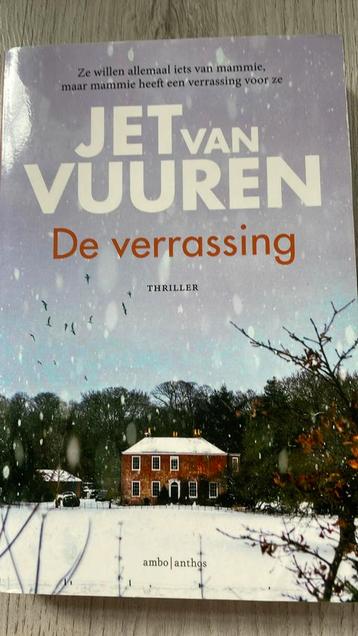 De verrassing (Jet van Vuuren) beschikbaar voor biedingen