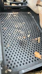 Opbergkratten 40 60  20 cm, Ophalen, Gebruikt, Overige merken