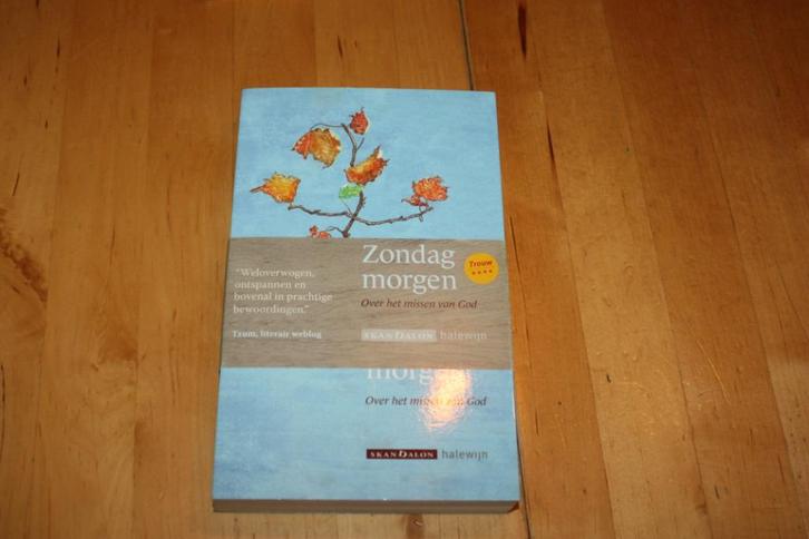 Zondagmorgen, Willem Jan Otten  izgs, Boeken, Godsdienst en Theologie, Gelezen, Christendom | Katholiek, Christendom | Protestants