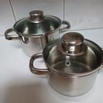 2 kleine pannen met glazen deksels diameter 15 en 13 cm., Ophalen of Verzenden, Zo goed als nieuw, Rvs, Pannenset