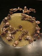 Kerst decoratie, Diversen, Kerst, Ophalen of Verzenden