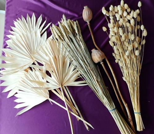 Droogbloemen set – 4 soorten, naturel stijl, Huis en Inrichting, Woonaccessoires | Droogbloemen, Nieuw, Ophalen of Verzenden