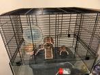 Hamster kooi, Dieren en Toebehoren, Knaagdieren en Konijnen | Hokken en Kooien, Kooi, Minder dan 75 cm, Zo goed als nieuw, Hamster