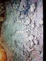 Kleiaarde gratis afhalen, Ophalen of Verzenden, Tuinaarde