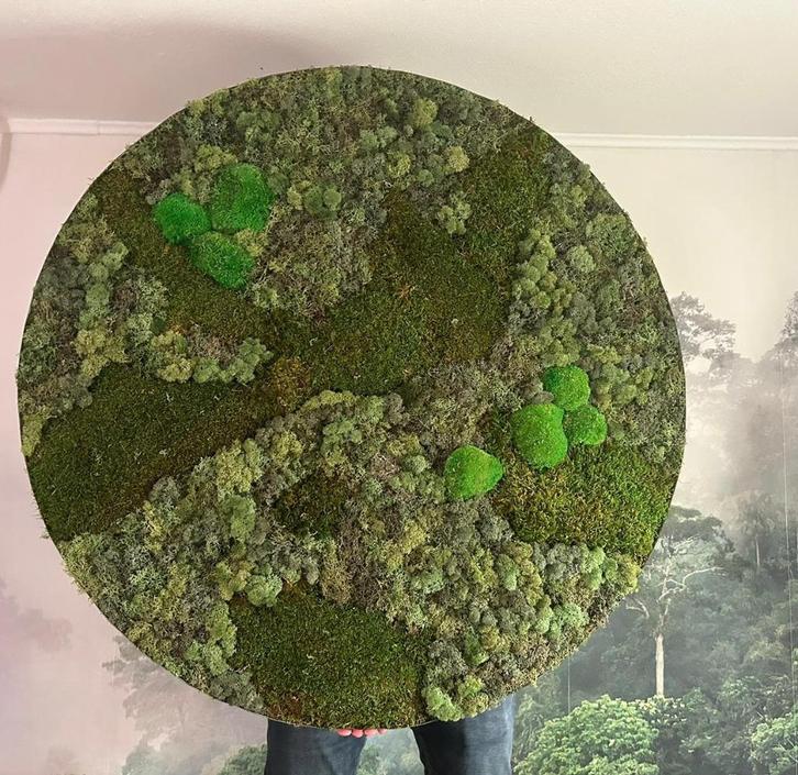 Handgemaakt rond mosschilderij / moscirkel 100cm, Huis en Inrichting, Woonaccessoires | Wanddecoraties, Nieuw, Ophalen of Verzenden