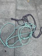 Touw halsters paard / pony, Ophalen of Verzenden, Overige soorten
