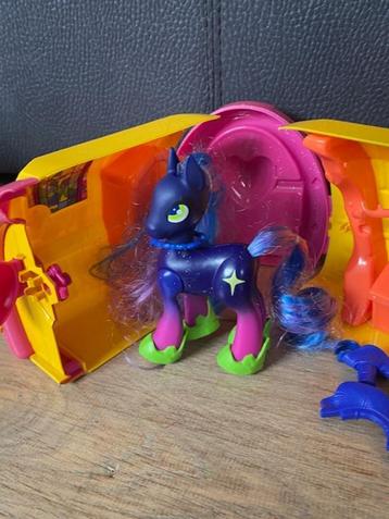 Ekinia pony beschikbaar voor biedingen