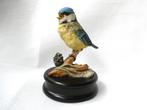 Kaiser Porselein Vogel: Pimpelmees, Ophalen of Verzenden, Gebruikt, Dier