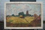 Zomers weidelandschap; kleurrijk olieverf Raedeker, Ophalen