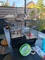 Hamsterkooi!!!!!!!, Dieren en Toebehoren, Knaagdieren en Konijnen | Hokken en Kooien, Minder dan 60 cm, Kooi, Minder dan 75 cm