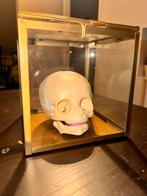 Anatomisch model van een foetus schedel. 32 weken., Ophalen of Verzenden
