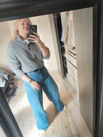 Grijze trui van Zara L, Zara, Maat 42/44 (L), Ophalen of Verzenden, Zo goed als nieuw