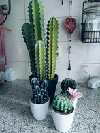 4 Kunst Cactussen - Realistisch en Onderhoudsvrij, Ophalen, Minder dan 100 cm, Groene kamerplant, In pot