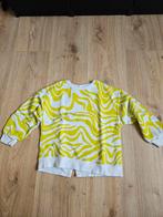 Trui Zara, maat 140, Kinderen en Baby's, Kinderkleding | Maat 140, Ophalen of Verzenden, Zo goed als nieuw, Zara, Trui of Vest