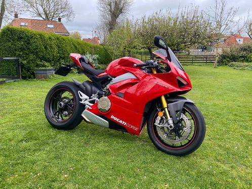 Ducati Panigale V4 S, V4S Corse zo goed als nieuw, Motoren, Motoren | Ducati, Particulier, Super Sport, meer dan 35 kW, 4 cilinders