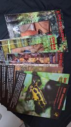 DN magazines jaren diverse jaargangen vanaf 2007 gifkikkers, Ophalen of Verzenden, Gelezen