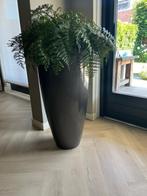 Bloempot, Tuin en Terras, Bloempotten, Ophalen, Kunststof, 40 cm of meer, Rond