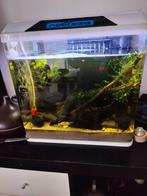 Aquarium met toe toebehouden, Dieren en Toebehoren, Vissen | Aquaria en Toebehoren, Ophalen of Verzenden, Gebruikt, Verlichting of Verwarming