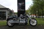 Harley-Davidson V-Rod VRSCA, Bedrijf, 2 cilinders, 1131 cc, Chopper