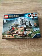 Lego Harry Potter the rise of Voldemort 75965, Ophalen of Verzenden, Zo goed als nieuw, Complete set, Lego
