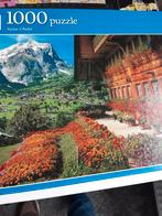 Jumbo puzzel en een wasgij, Ophalen, 500 t/m 1500 stukjes, Zo goed als nieuw