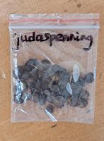 Zaden Judaspenning eigen kweek, Ophalen of Verzenden, Voorjaar, Volle zon, Zaad