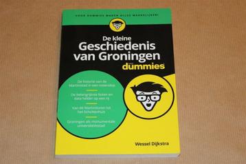De kleine geschiedenis van Groningen voor Dummies beschikbaar voor biedingen
