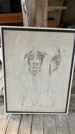 Oude tekening anatomisch model, Antiek en Kunst, Ophalen of Verzenden