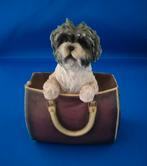 Leonardo Dog Studies - Off We Go - Shih Tzu, Ophalen of Verzenden, Zo goed als nieuw, Dier