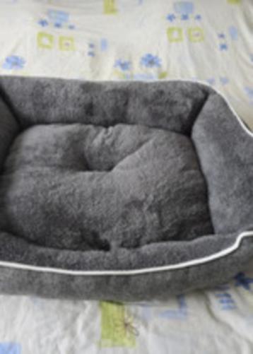 Hondenmand beschikbaar voor biedingen