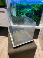Aquarium zonder lichtkap, Ophalen, Gebruikt, Leeg aquarium