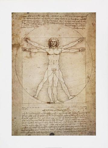 Leonardo da Vinci (1452) Kunstdruk "Human figure Vitruvius" beschikbaar voor biedingen