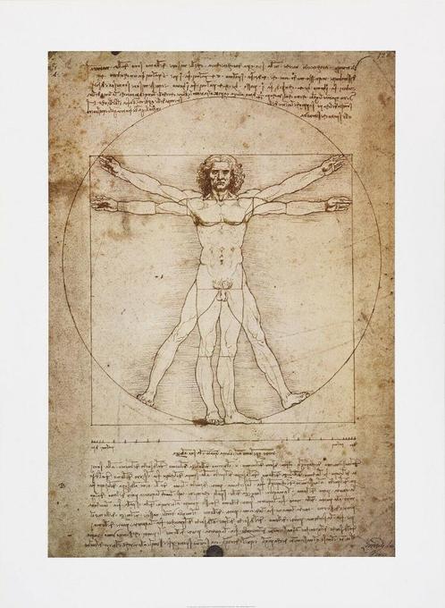 Leonardo da Vinci (1452) Kunstdruk "Human figure Vitruvius", Antiek en Kunst, Kunst | Litho's en Zeefdrukken, Ophalen of Verzenden