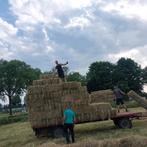 Zeer mooi hooi st jacobs kruid vrij en stro, Ophalen, Vee