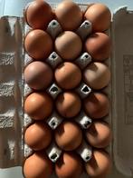Te koop: verse consumptie eieren, Diversen, Levensmiddelen, Ophalen