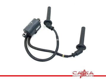 BOBINE Yamaha XJ 6 2009-2012 (XJ6 XJ6S XJ6N Diversion) beschikbaar voor biedingen