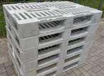 H1 euro pallets kunststof hygiëne pallet partij handel, Ophalen, Gebruikt, 100 cm of meer, 60 cm of meer